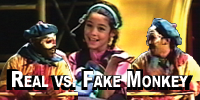 Real vs. Fake (1999)